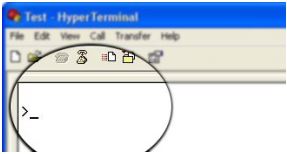 Serial Terminal Emulator1