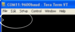Teraterm USBGPIO Command Prompt